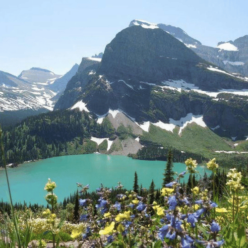 Panoramic view of a glacier in Switzerland, with vast ice formations flowing through an alpine valley surrounded by high mountain peaks under a clear sky.