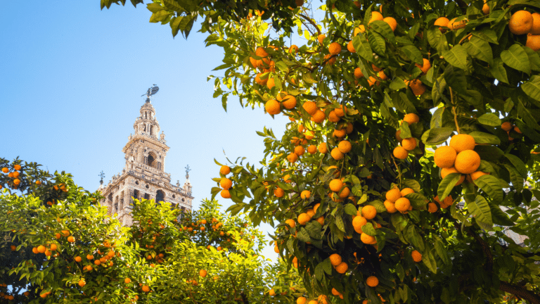 Madrid to Seville by train: The fastest way to discover Andalusia with Renfe